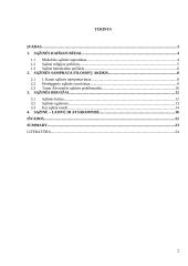 Sąžinė: laisvė ir atsakomybė 2 puslapis