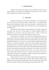 Sąžinė: laisvė ir atsakomybė 12 puslapis