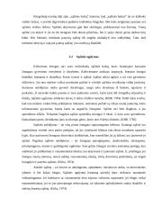 Sąžinė: laisvė ir atsakomybė 13 puslapis