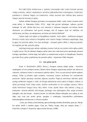 Sąžinė: laisvė ir atsakomybė 14 puslapis