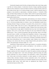 Sąžinė: laisvė ir atsakomybė 19 puslapis