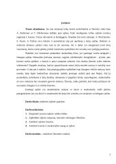 Sąžinė: laisvė ir atsakomybė 3 puslapis