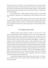 Sąžinė: laisvė ir atsakomybė 9 puslapis