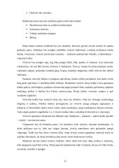 Kaimo turizmo sodybos "Pušynas" projektas 11 puslapis