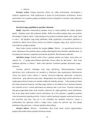 Kaimo turizmo sodybos "Pušynas" projektas 14 puslapis