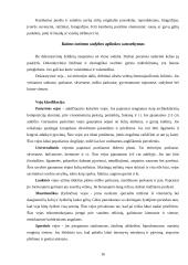 Kaimo turizmo sodybos "Pušynas" projektas 16 puslapis