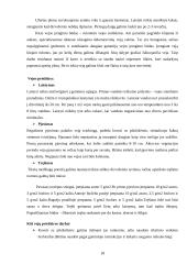 Kaimo turizmo sodybos "Pušynas" projektas 18 puslapis