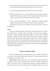 Kaimo turizmo sodybos "Pušynas" projektas 19 puslapis