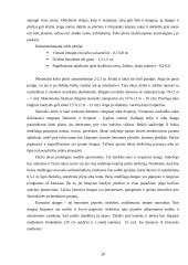 Kaimo turizmo sodybos "Pušynas" projektas 20 puslapis