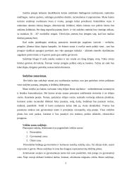 Kaimo turizmo sodybos "Pušynas" projektas 5 puslapis