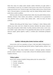 Kaimo turizmo sodybos "Pušynas" projektas 6 puslapis