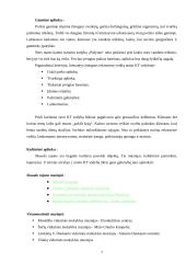 Kaimo turizmo sodybos "Pušynas" projektas 7 puslapis