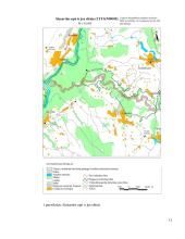 Siesarties upės žuvų bendrijos bioįvairovė 11 puslapis