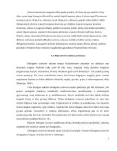 Siesarties upės žuvų bendrijos bioįvairovė 7 puslapis