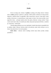 Kainų kitimo poveikis vartotojų pasirinkimui 2 puslapis