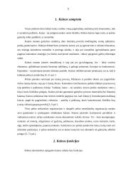 Kainų kitimo poveikis vartotojų pasirinkimui 3 puslapis