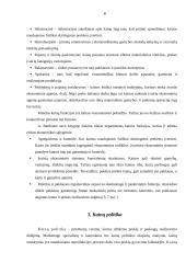 Kainų kitimo poveikis vartotojų pasirinkimui 4 puslapis