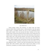 Kaišiadorių rajono lankomi objektai, saugomos teritorijos ir jų panaudojimas geografijos mokyme 15 puslapis