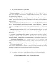 Socialinio pedagogo veiklos kryptys gimnazijoje 11 puslapis