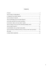 Socializmas ir socialdemokratija 2 puslapis