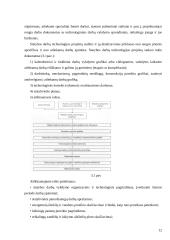 Statybos darbų organizavimas įmonėje 11 puslapis