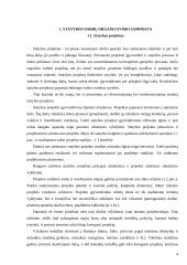 Statybos darbų organizavimas įmonėje 3 puslapis