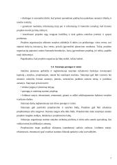 Statybos darbų organizavimas įmonėje 6 puslapis