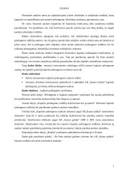 Kapitalo pelningumo analizė ir jos taikymas 2 puslapis