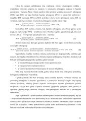 Kapitalo pelningumo analizė ir jos taikymas 11 puslapis