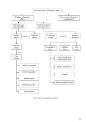 Kapitalo pelningumo analizė ir jos taikymas 12 puslapis