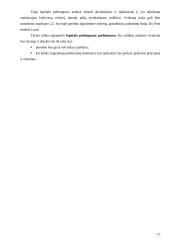 Kapitalo pelningumo analizė ir jos taikymas 13 puslapis