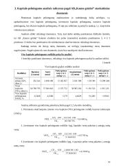 Kapitalo pelningumo analizė ir jos taikymas 14 puslapis