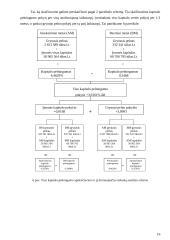 Kapitalo pelningumo analizė ir jos taikymas 16 puslapis