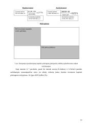 Kapitalo pelningumo analizė ir jos taikymas 19 puslapis