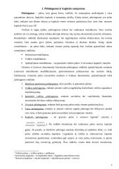 Kapitalo pelningumo analizė ir jos taikymas 3 puslapis