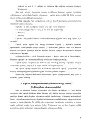 Kapitalo pelningumo analizė ir jos taikymas 4 puslapis