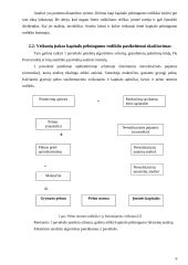 Kapitalo pelningumo analizė ir jos taikymas 6 puslapis