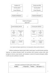 Kapitalo pelningumo analizė ir jos taikymas 7 puslapis