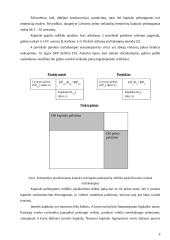 Kapitalo pelningumo analizė ir jos taikymas 9 puslapis