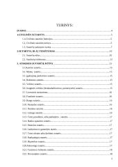 Sutartys. Sutarčių rūšys 2 puslapis