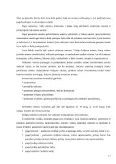 Sutartys. Sutarčių rūšys 11 puslapis