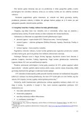 Karinės globalizacijos įtaka nacionaliniam saugumui 11 puslapis