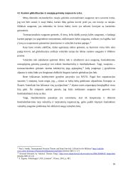 Karinės globalizacijos įtaka nacionaliniam saugumui 16 puslapis