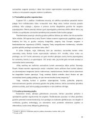 Karinės globalizacijos įtaka nacionaliniam saugumui 18 puslapis