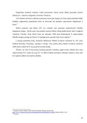 Karinės globalizacijos įtaka nacionaliniam saugumui 20 puslapis