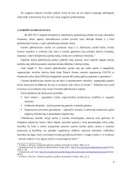 Karinės globalizacijos įtaka nacionaliniam saugumui 8 puslapis