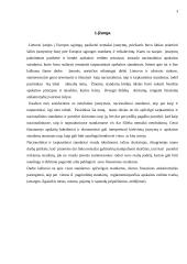 Tarptautinių ir nacionalinių apskaitos standartų palyginimas 2 puslapis