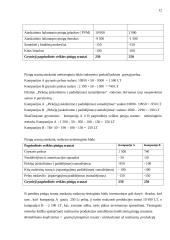 Tarptautinių ir nacionalinių apskaitos standartų palyginimas 11 puslapis