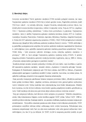 Tarptautinių ir nacionalinių apskaitos standartų palyginimas 3 puslapis