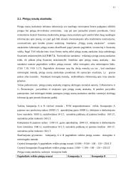 Tarptautinių ir nacionalinių apskaitos standartų palyginimas 10 puslapis